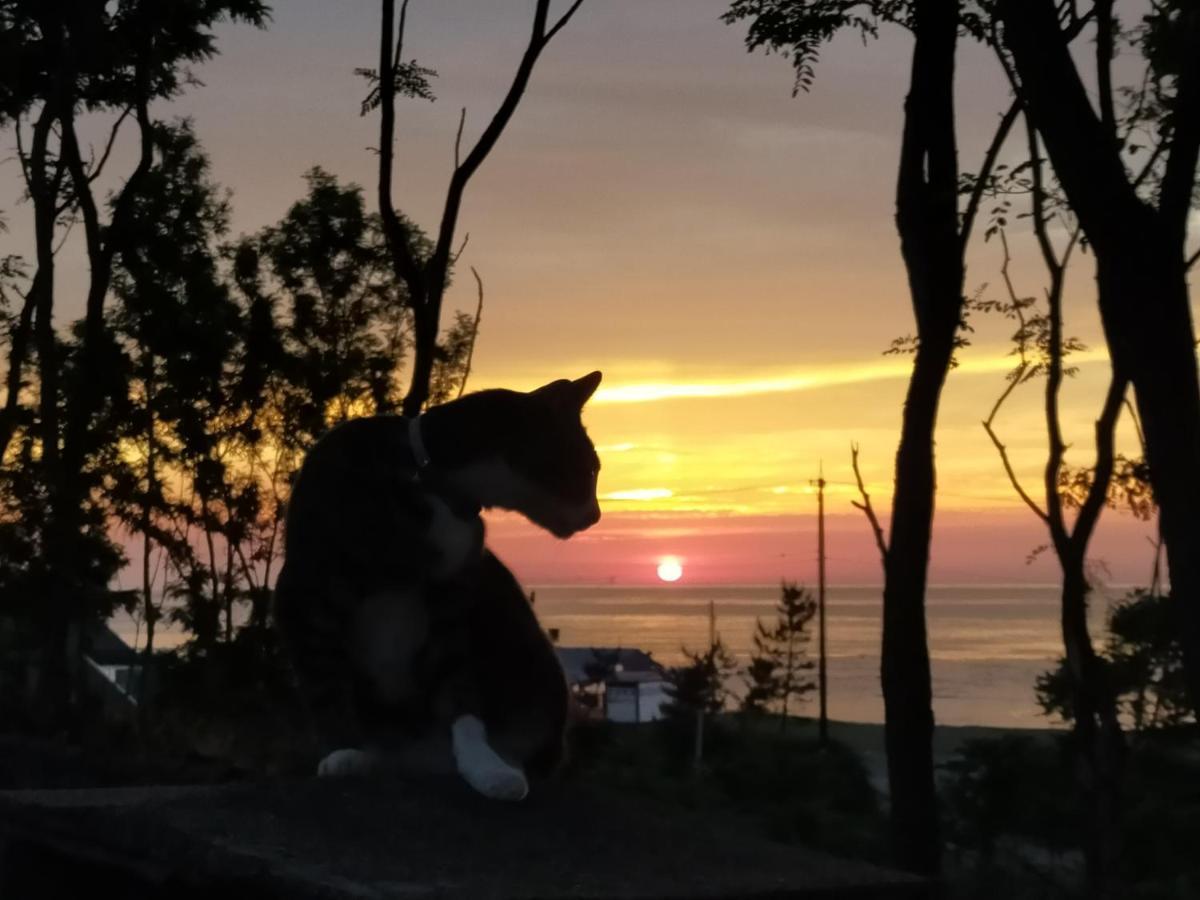 Echizen Guesthouse Tamada Fukui Dış mekan fotoğraf
